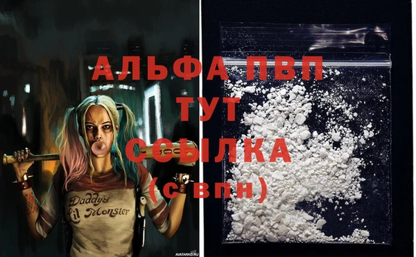 стафф Алексин