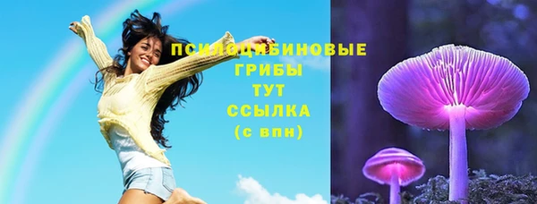 стафф Алексин