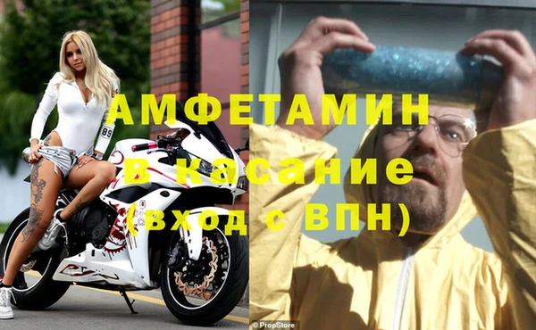 стафф Алексин