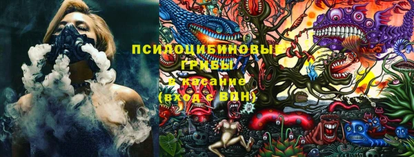 стафф Алексин