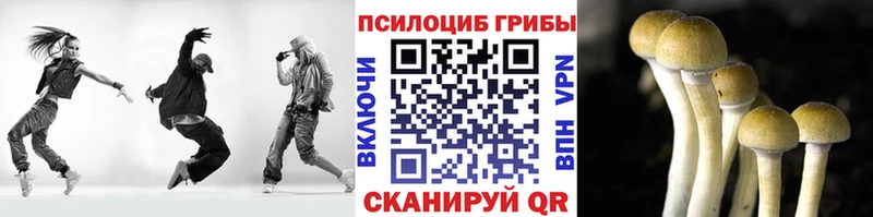 купить наркотики сайты  Островной  Псилоцибиновые грибы MAGIC MUSHROOMS 
